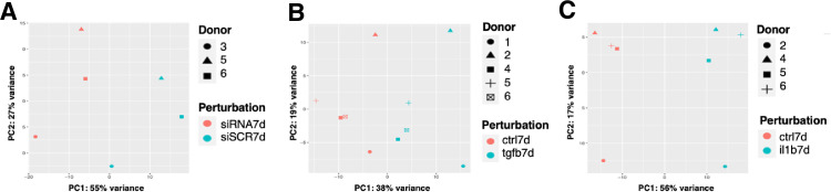 Figure 3—figure supplement 1.