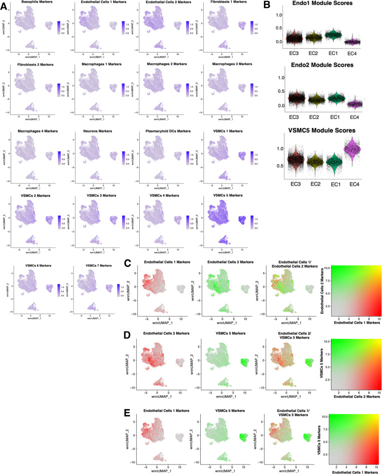 Figure 5—figure supplement 3.