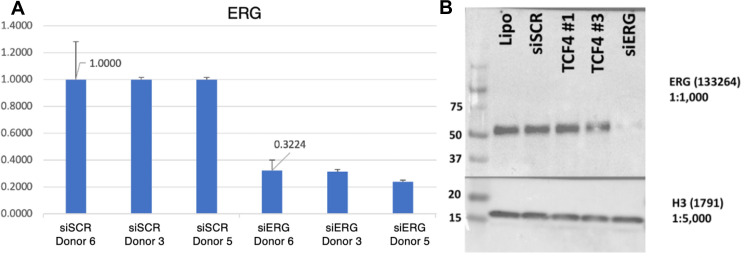 Figure 3—figure supplement 3.