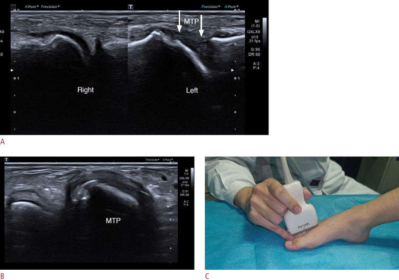 Fig. 7.
