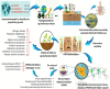 Image, graphical abstract
