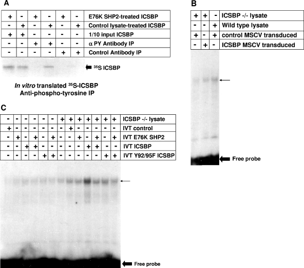 FIG. 11.