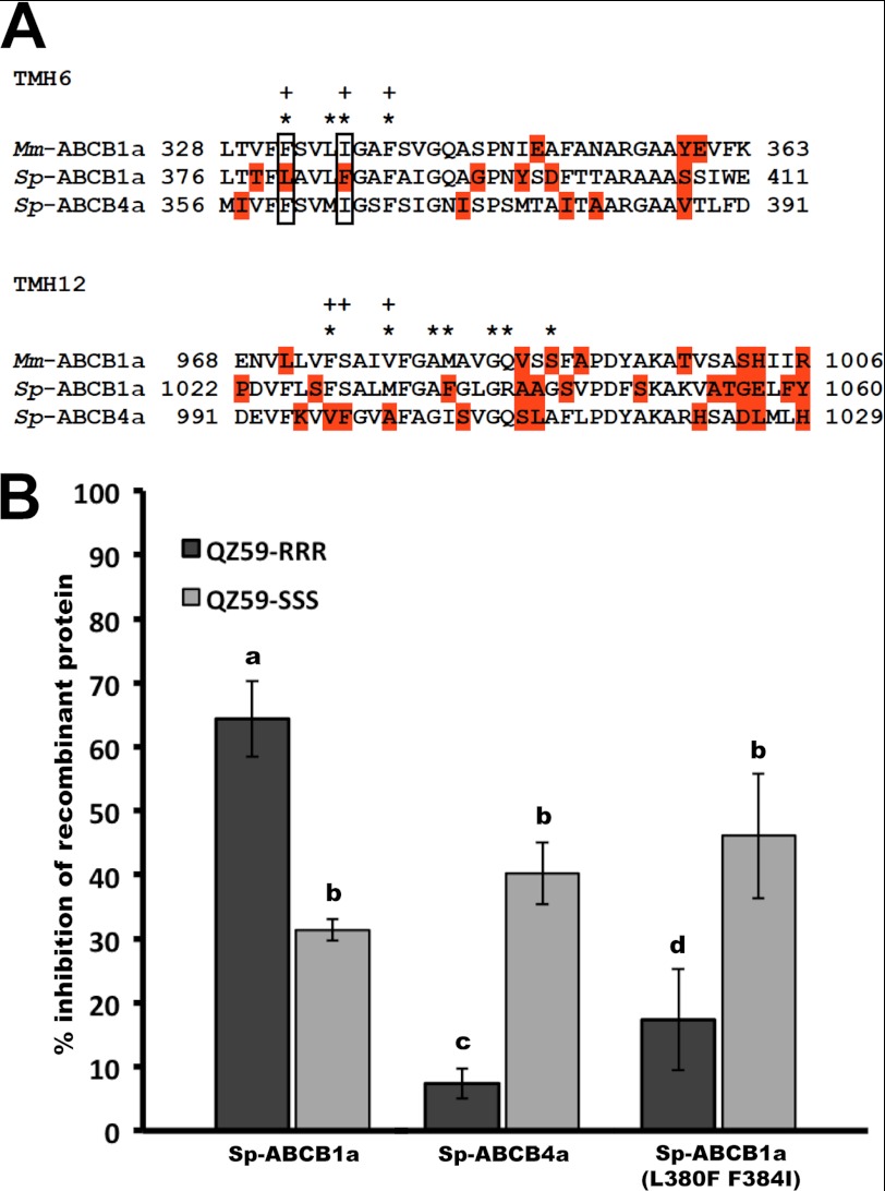 FIGURE 4.