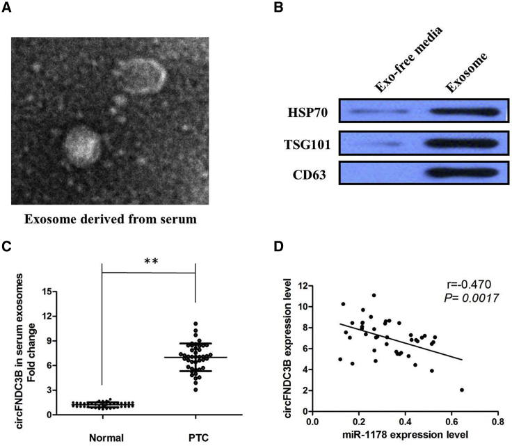 Figure 7