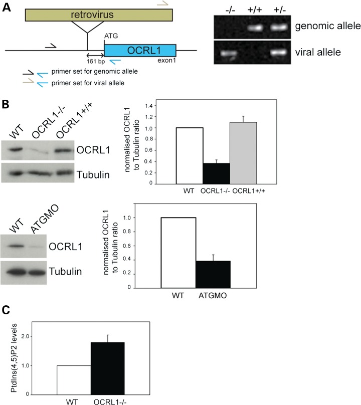 Figure 3.