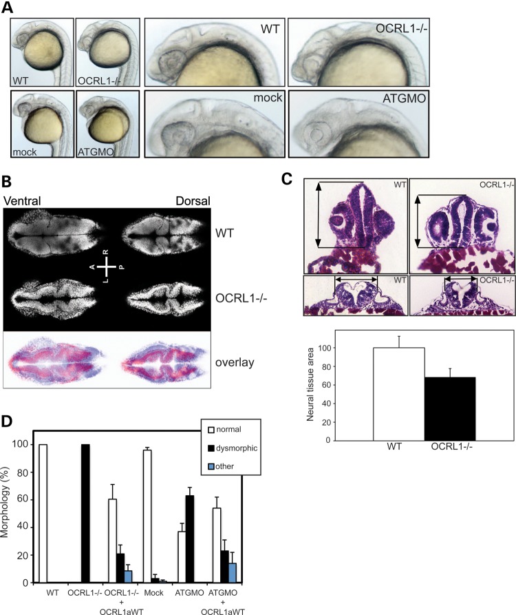 Figure 6.