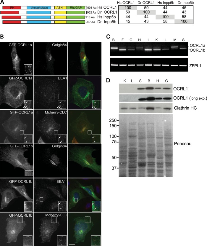 Figure 1.