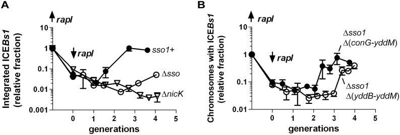 Fig 7