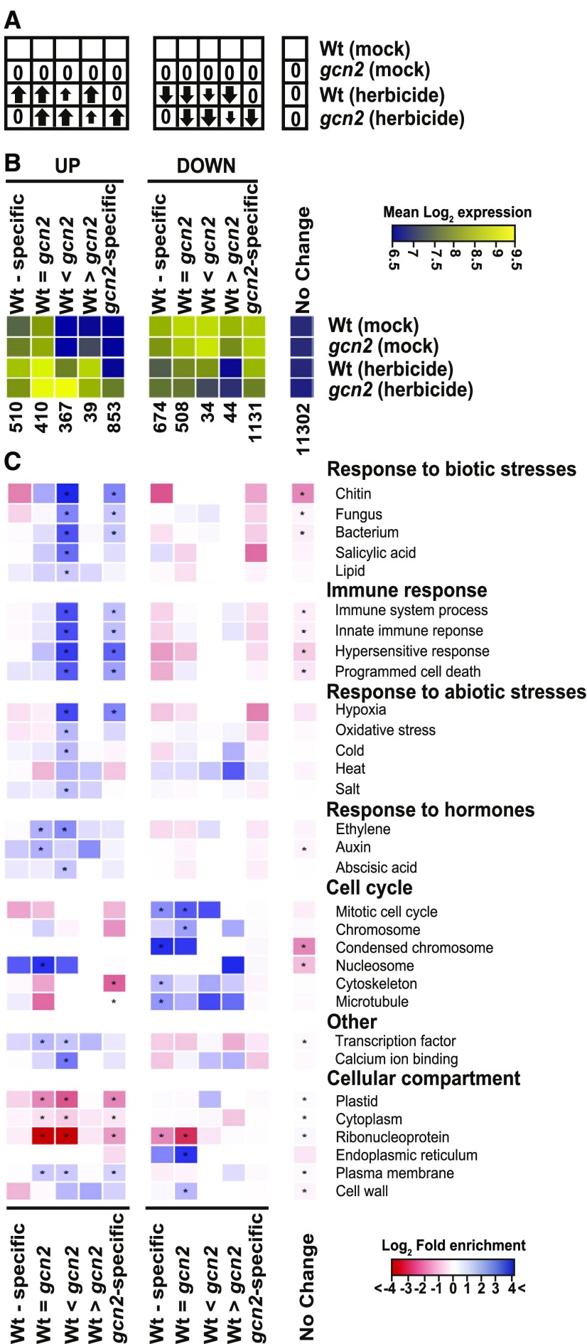 Figure 11.