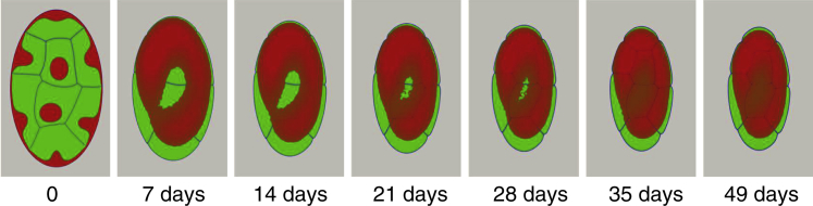 Figure 7