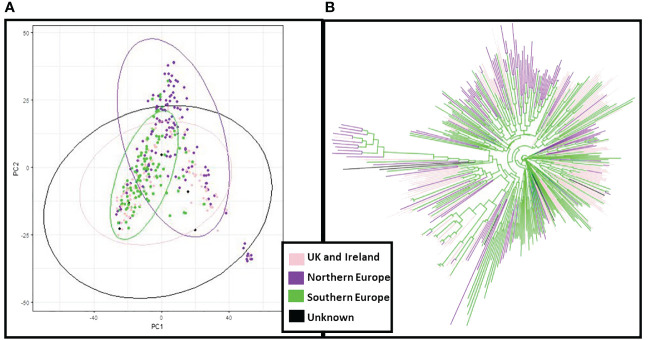 Figure 3