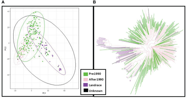 Figure 4