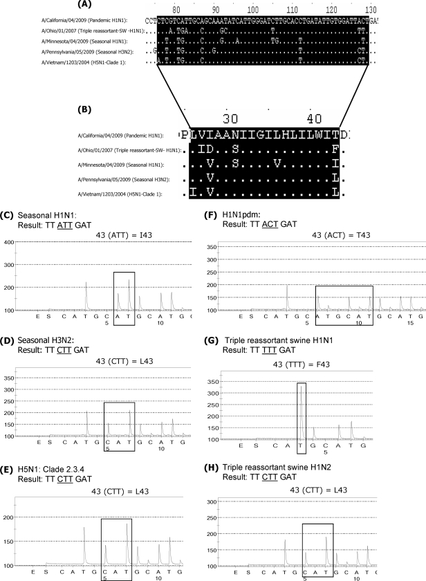 FIG. 1.