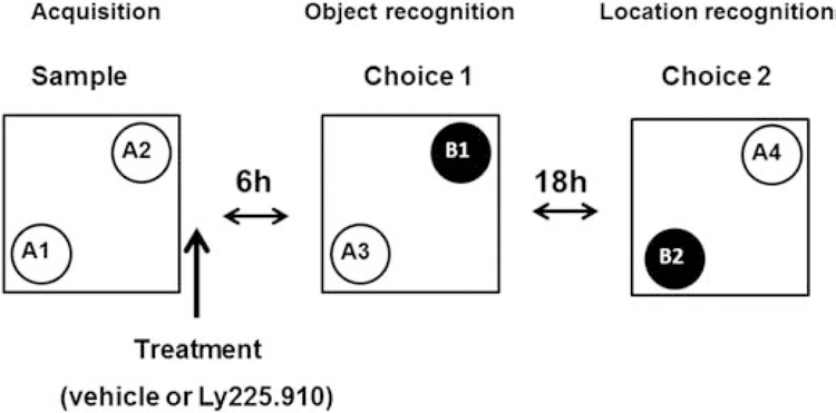 Fig.1.