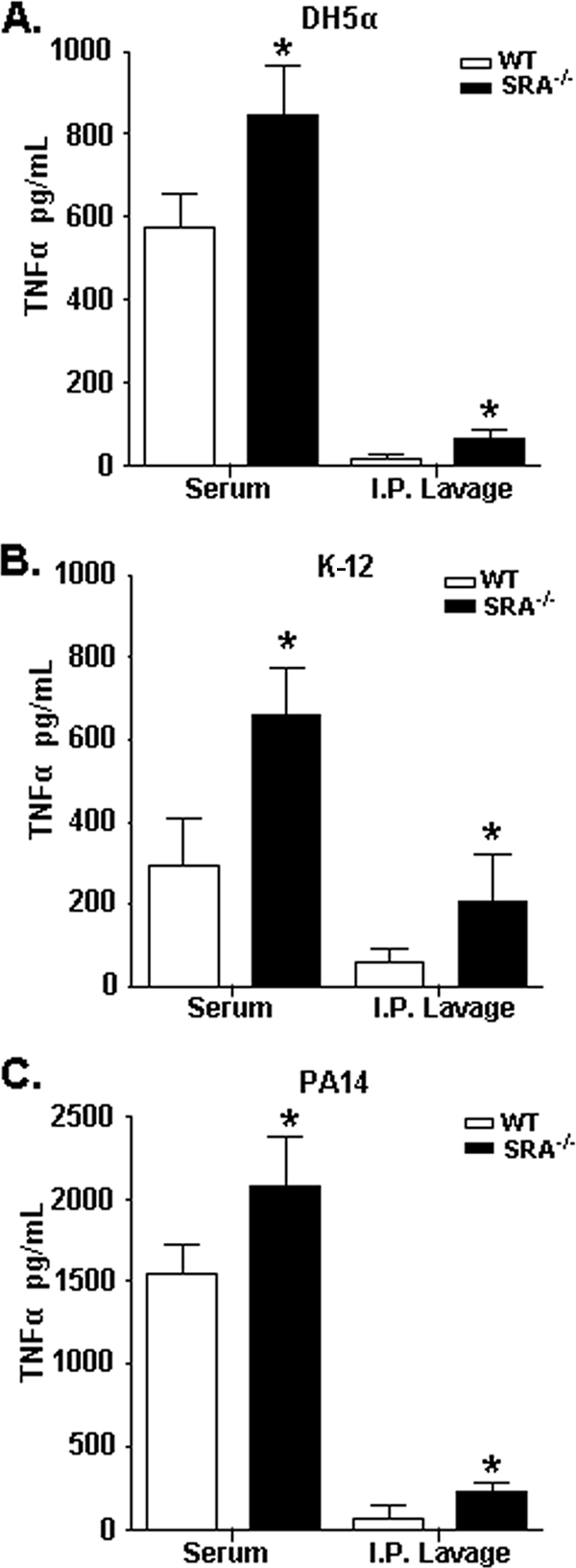 FIG. 4.