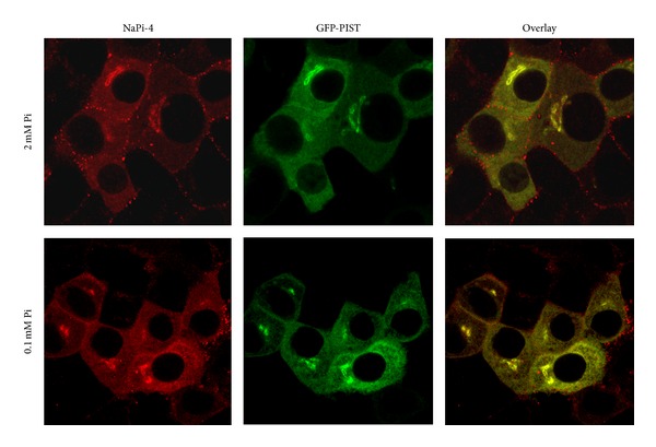 Figure 6