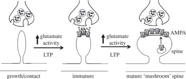 Figure 2.