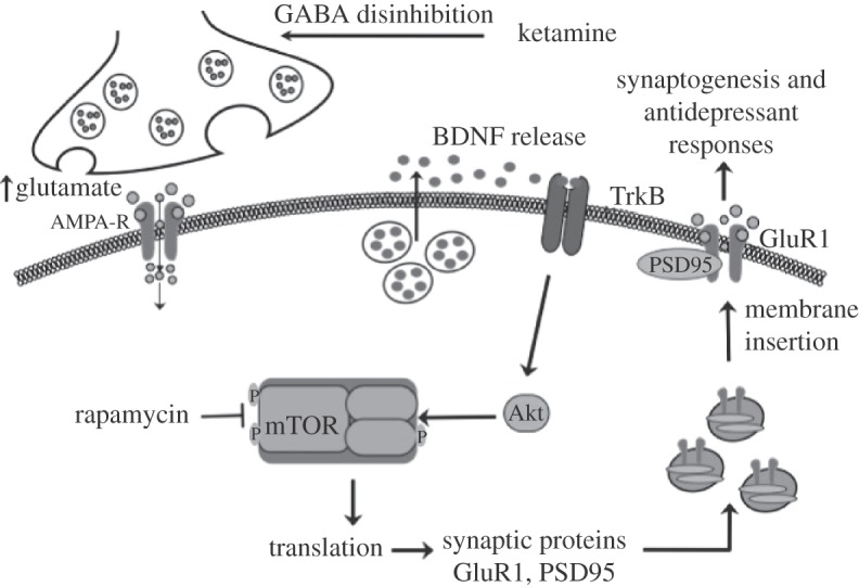 Figure 3.