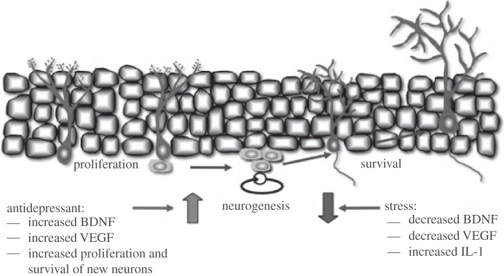 Figure 1.