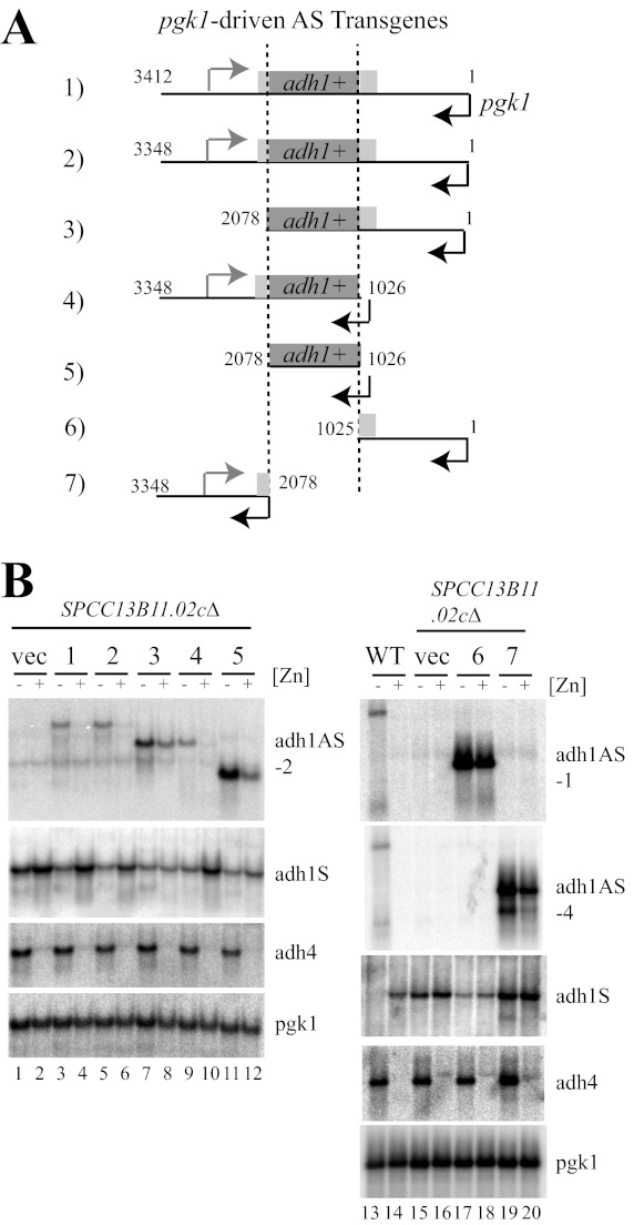 FIGURE 4.