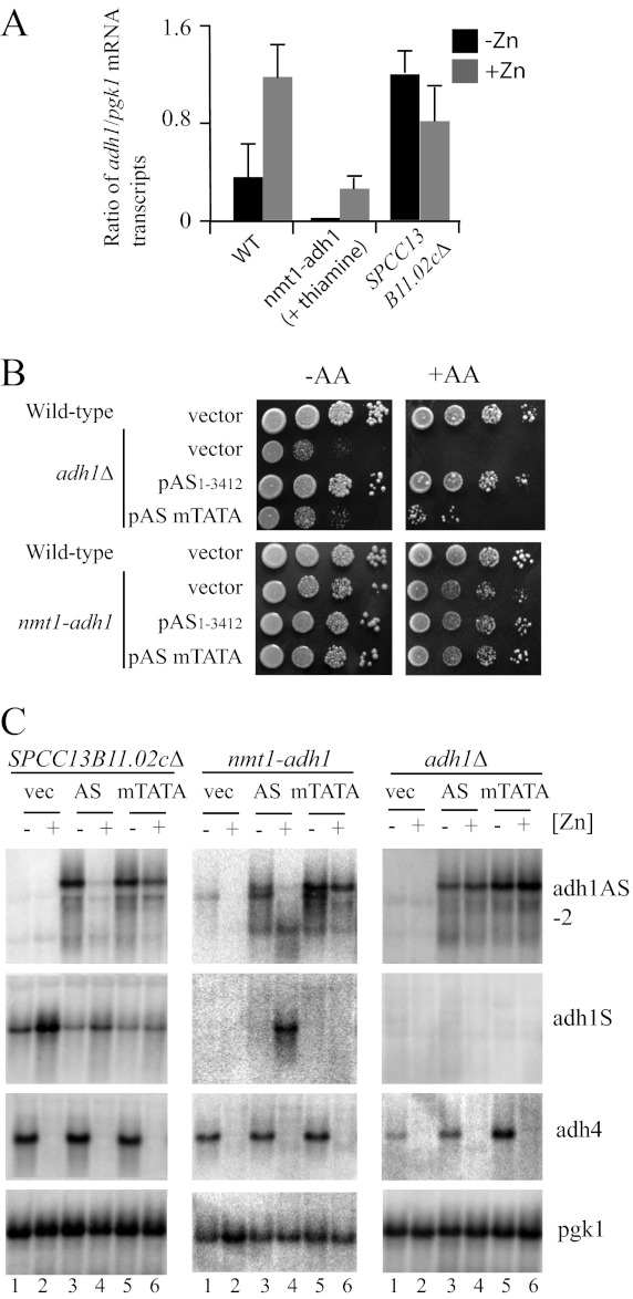 FIGURE 6.