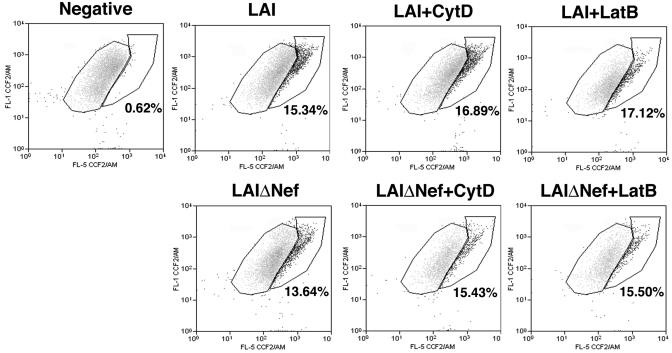 FIG. 7.