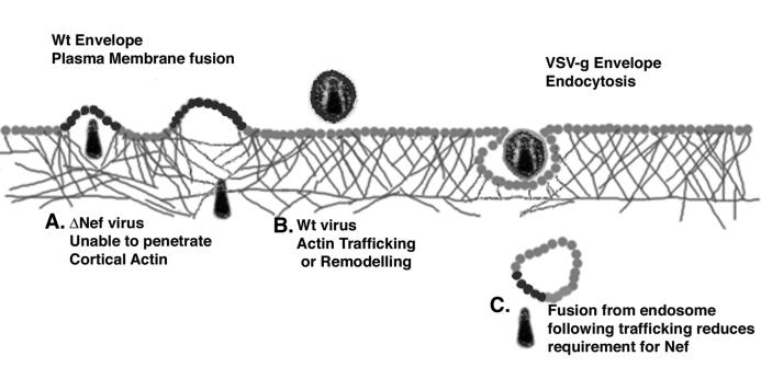 FIG. 8.