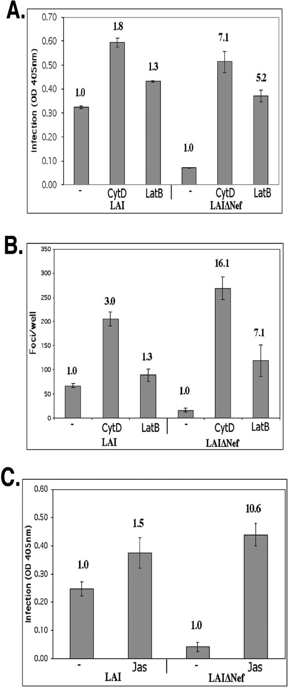 FIG. 1.