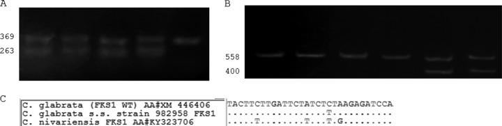 FIG 1