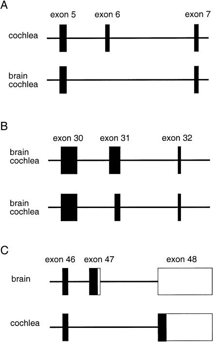 Figure  4