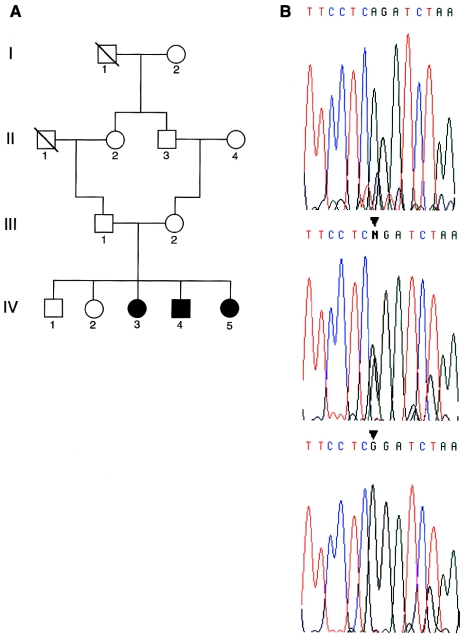 Figure  6