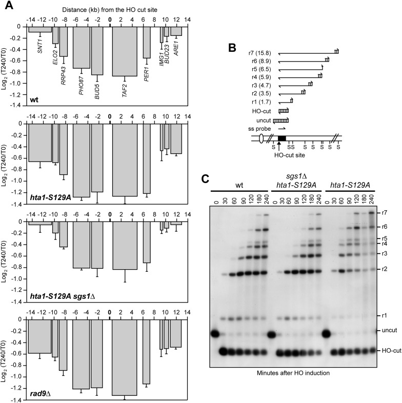 Figure 5.