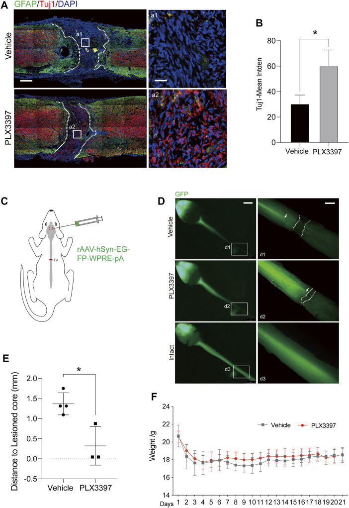 FIGURE 3