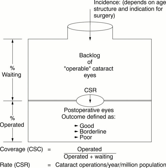 Figure 1  