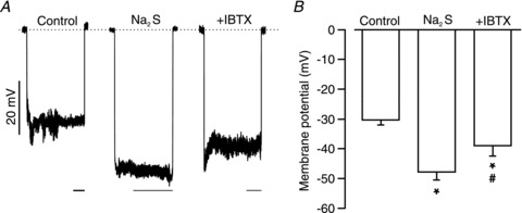 Figure 5