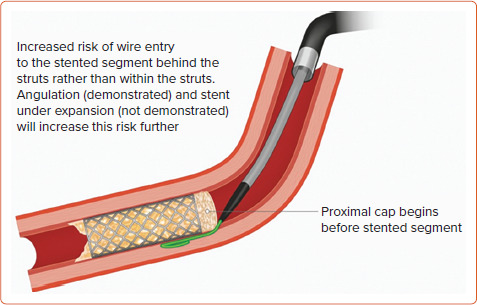 Figure 4: