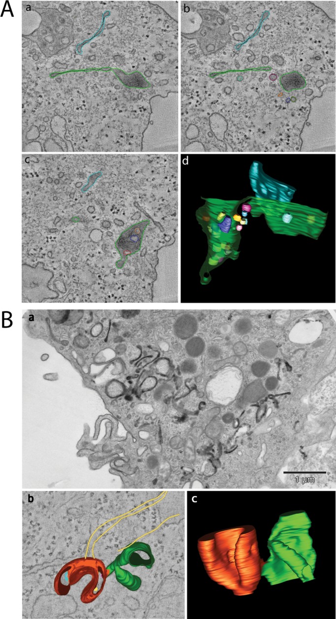 FIGURE 5: