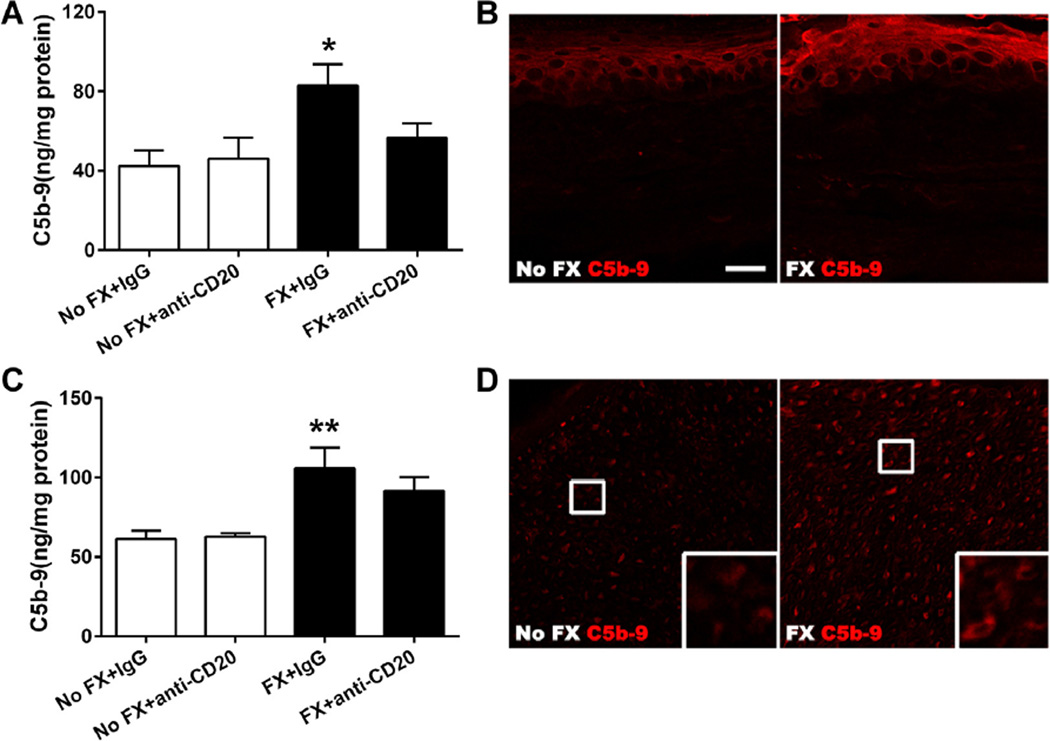 Fig. 10