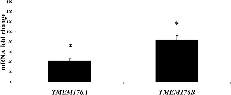 FIG 2.