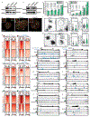 Extended Data Fig. 9.