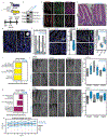 Extended Data Fig. 7.