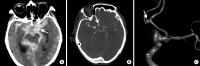 Figure 12.