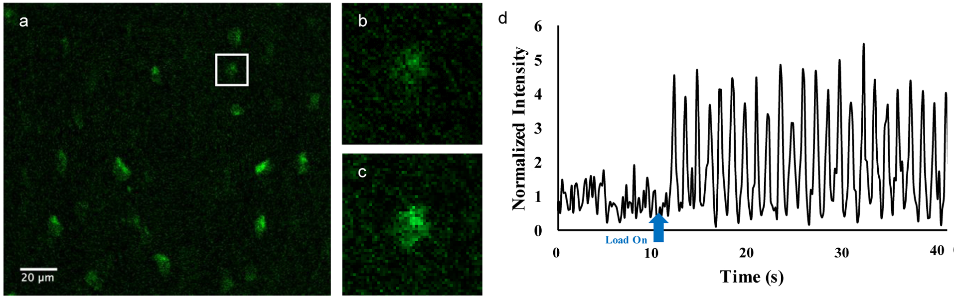 Figure 2: