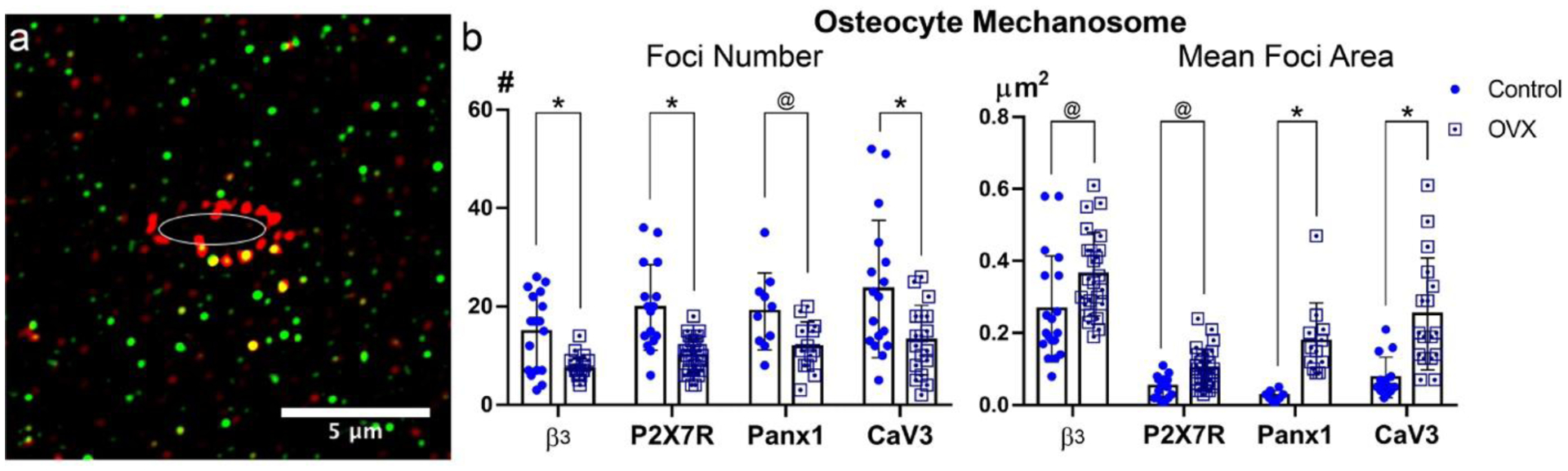 Figure 5: