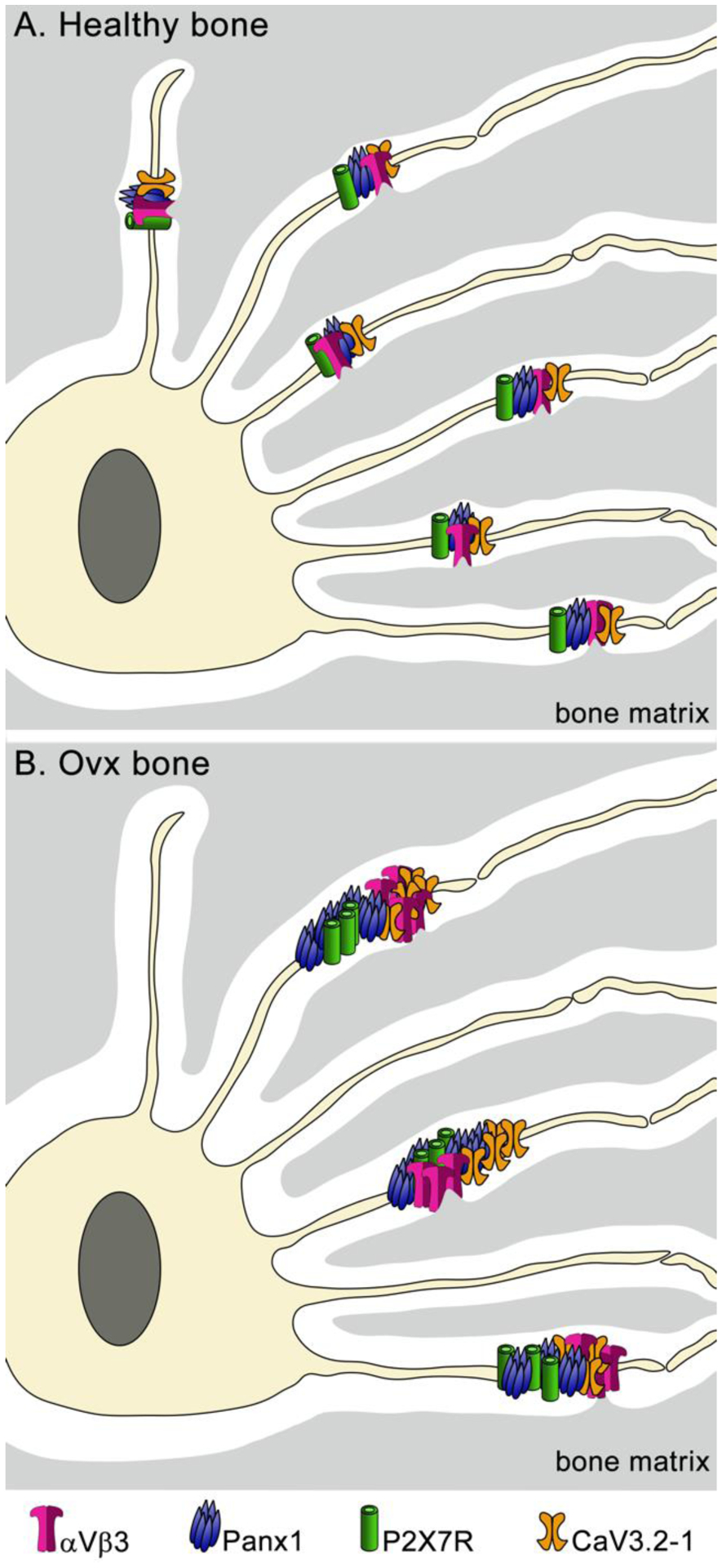 Figure 6: