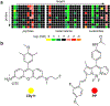 Figure 22.