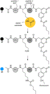 Figure 26.