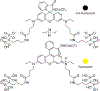 Figure 12.