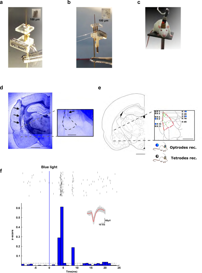 Extended Data Fig. 9