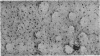 1004-2